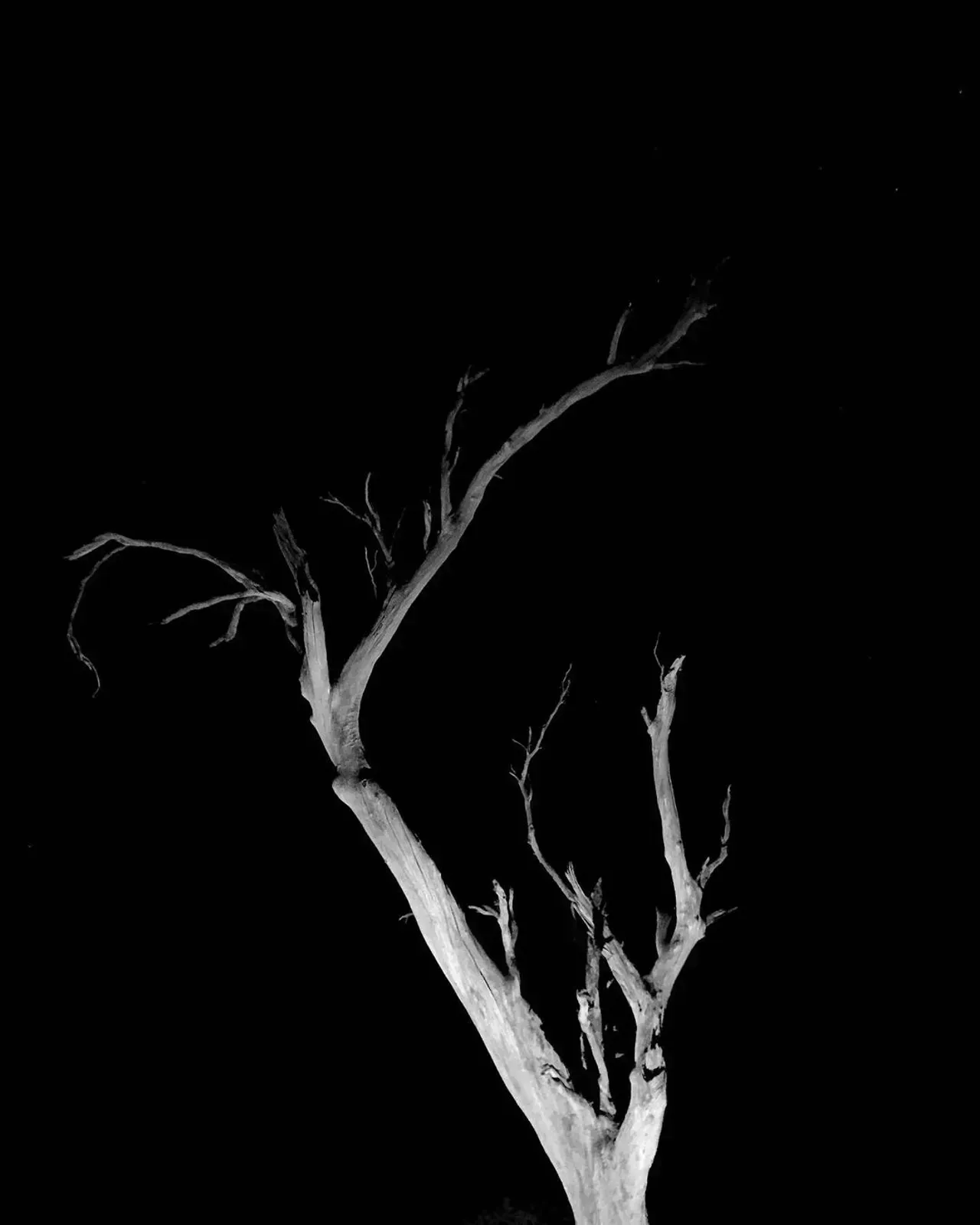 Image 37 - Dead of Night