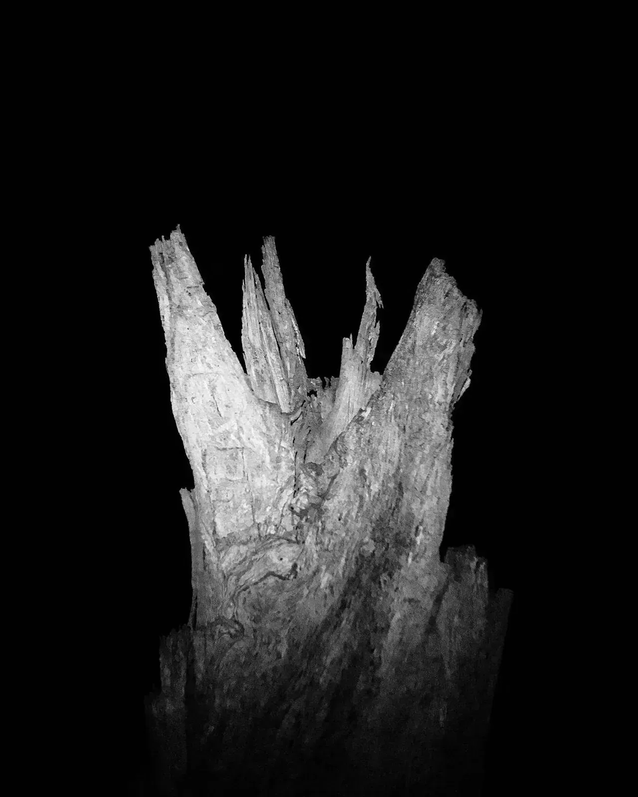 Image 38 - Dead of Night