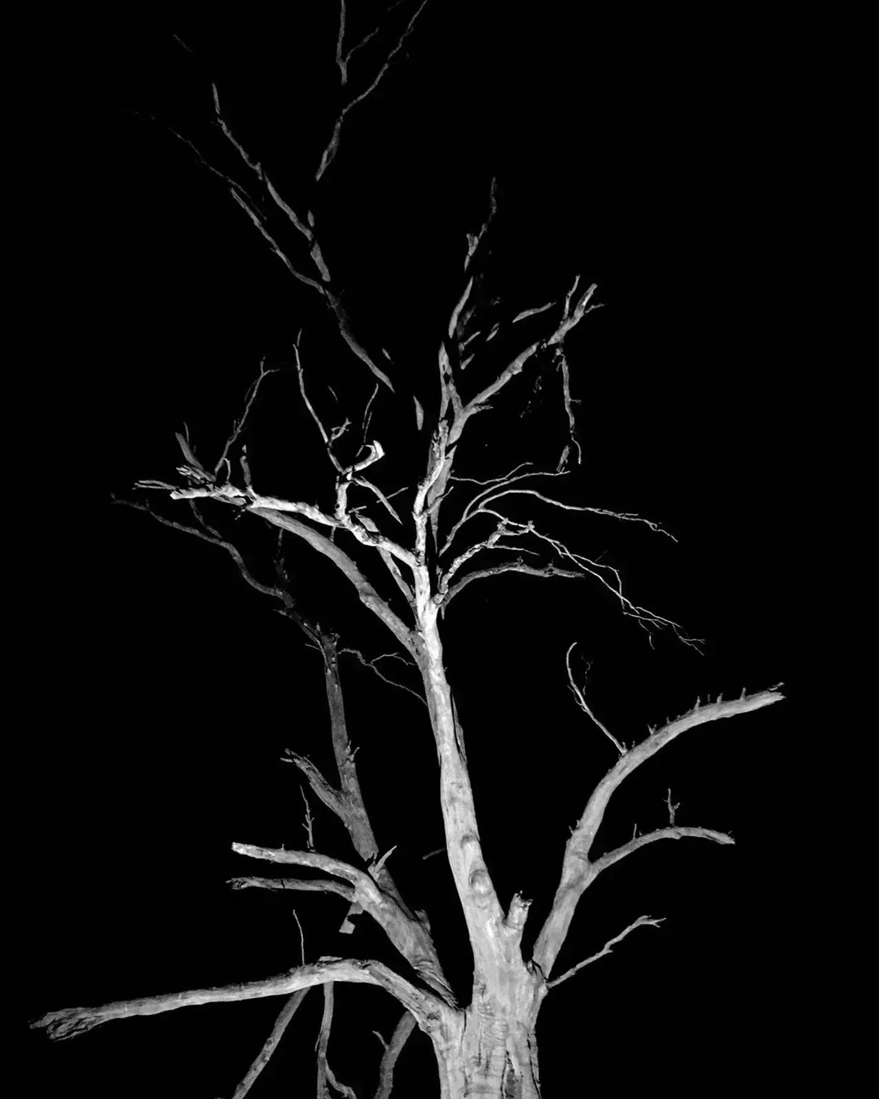 Image 39 - Dead of Night