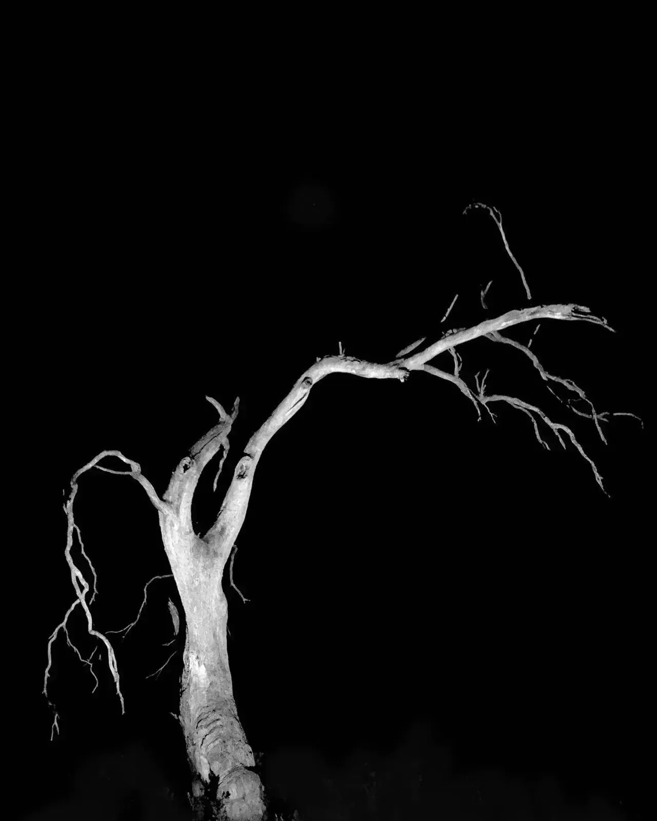 Image 40 - Dead of Night