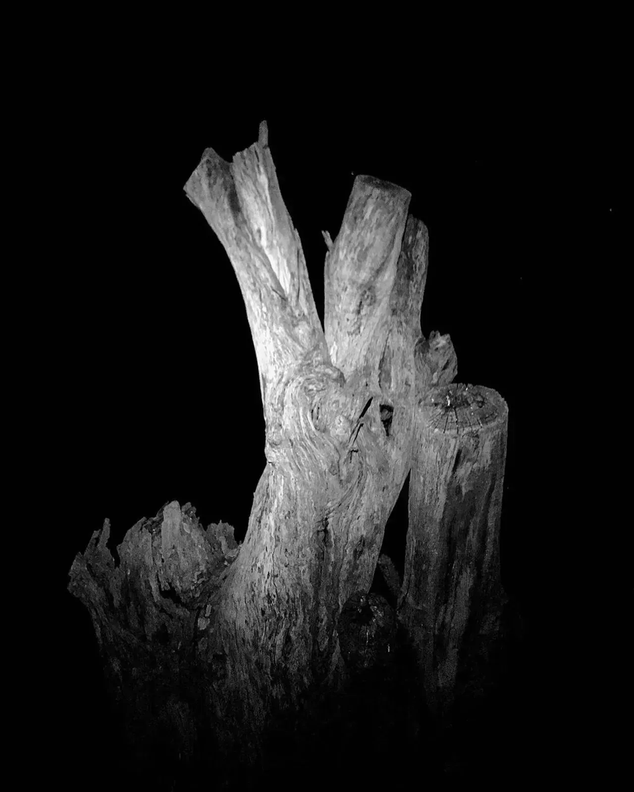 Image 41 - Dead of Night