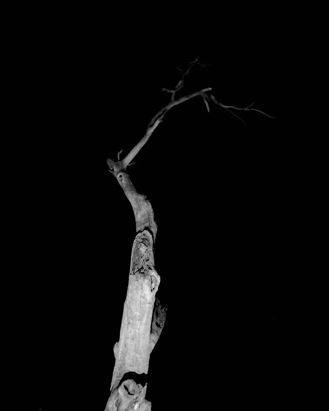 Image 42 - Dead of Night