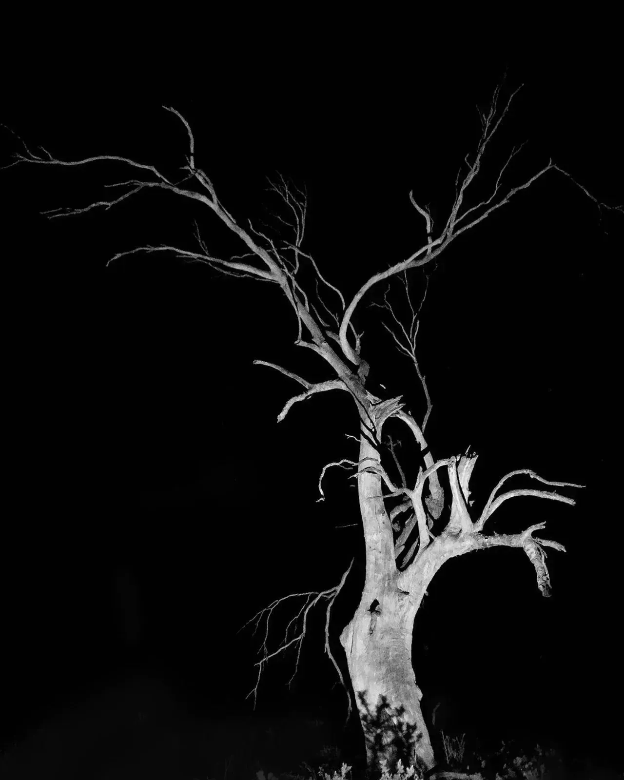 Image 43 - Dead of Night