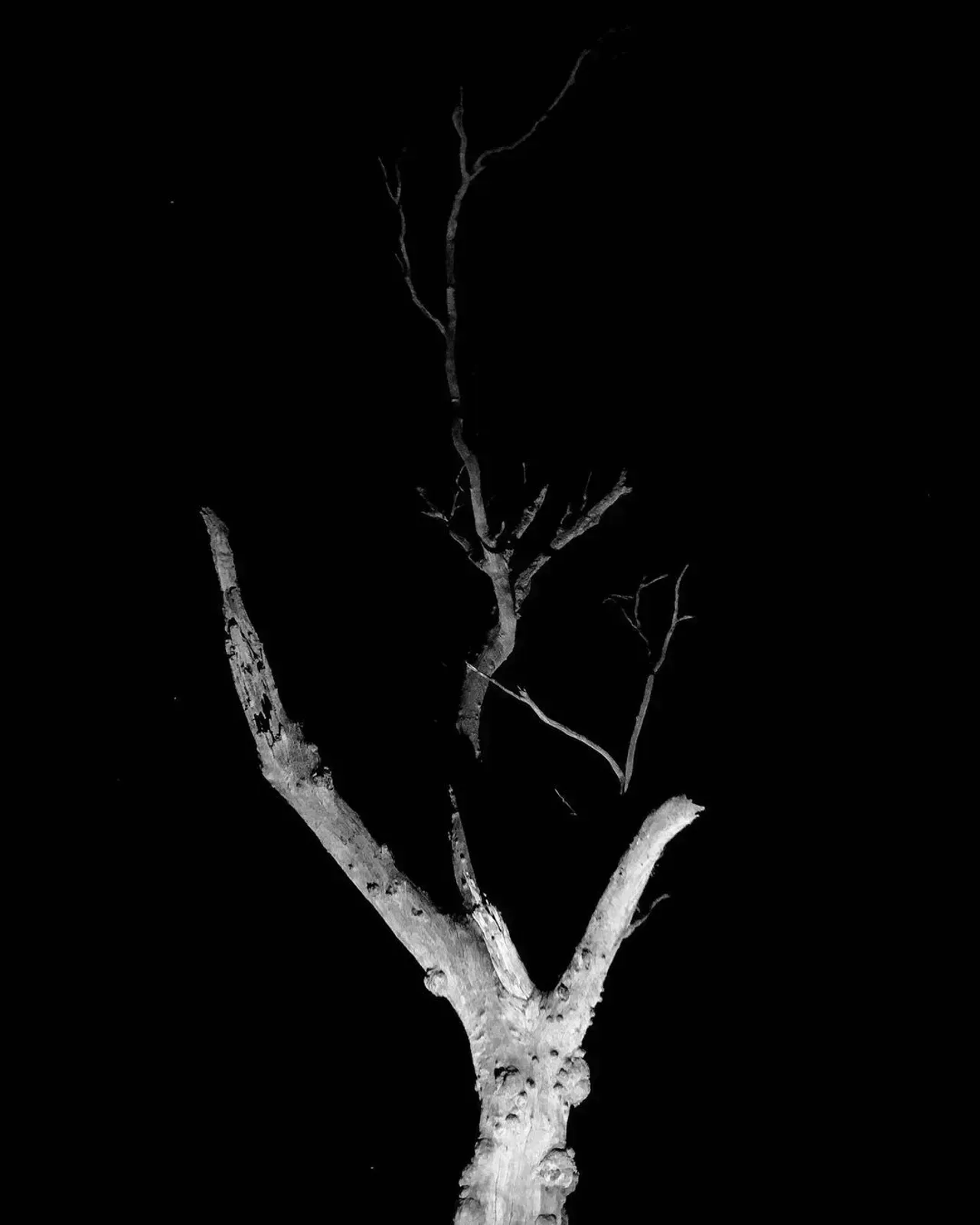 Image 44 - Dead of Night