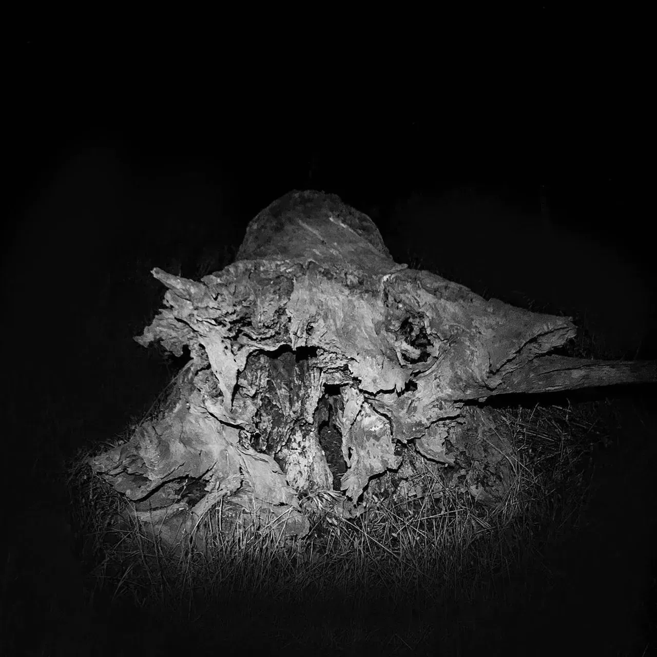 Image 45 - Dead of Night