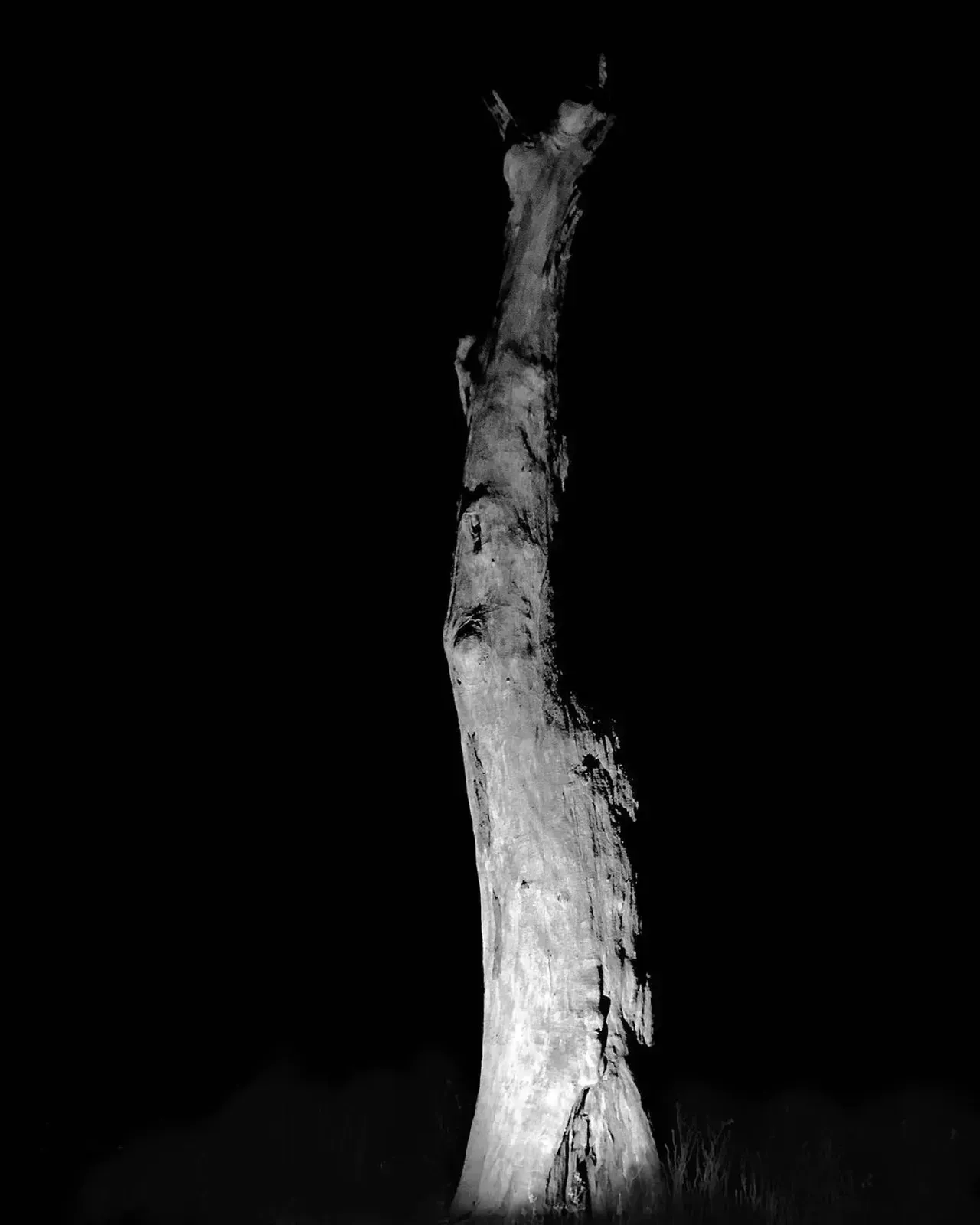 Image 46 - Dead of Night
