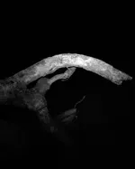 Image 50 - Dead of Night