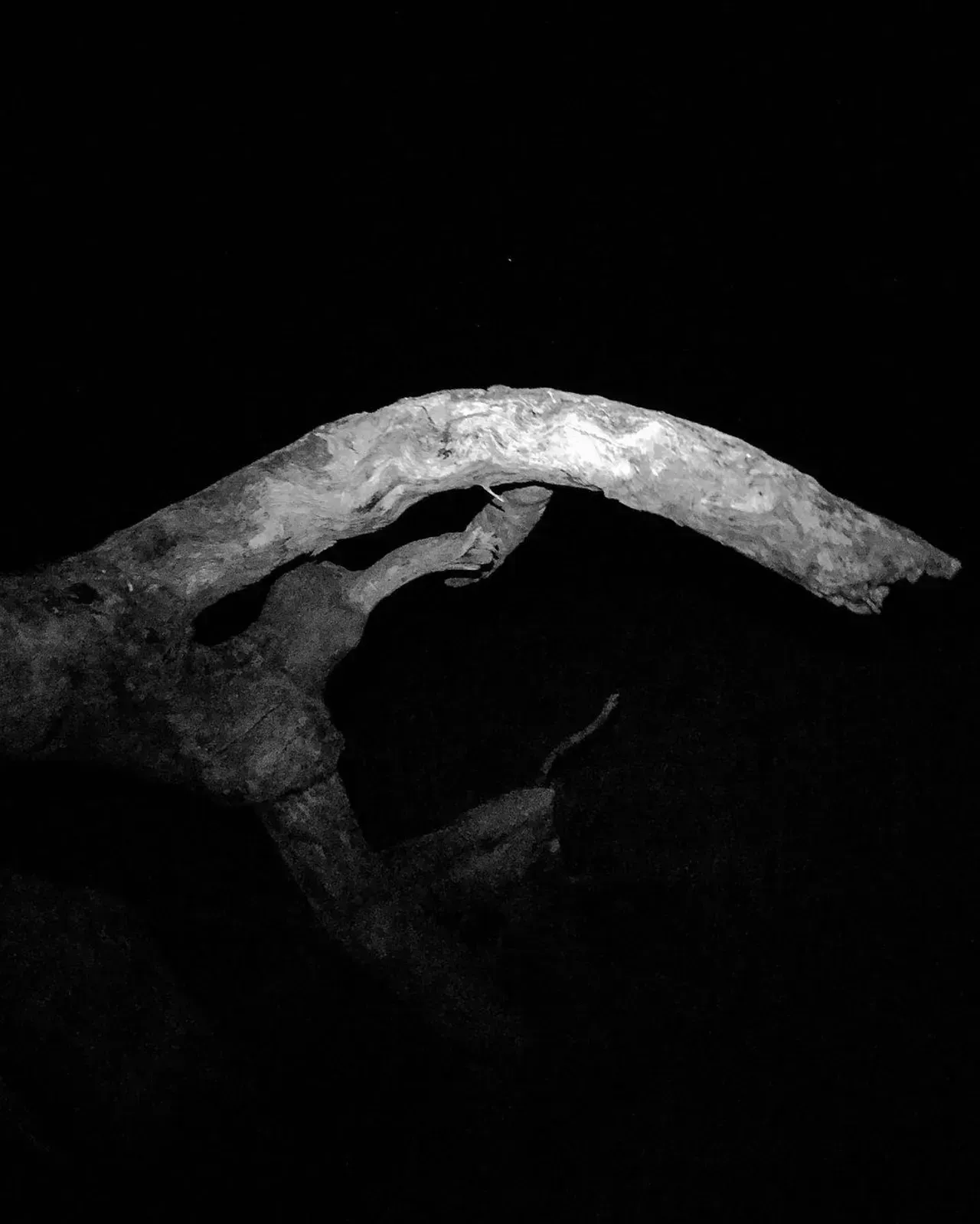 Image 50 - Dead of Night