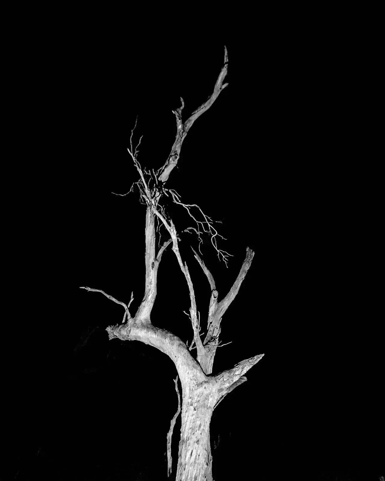 Image 51 - Dead of Night