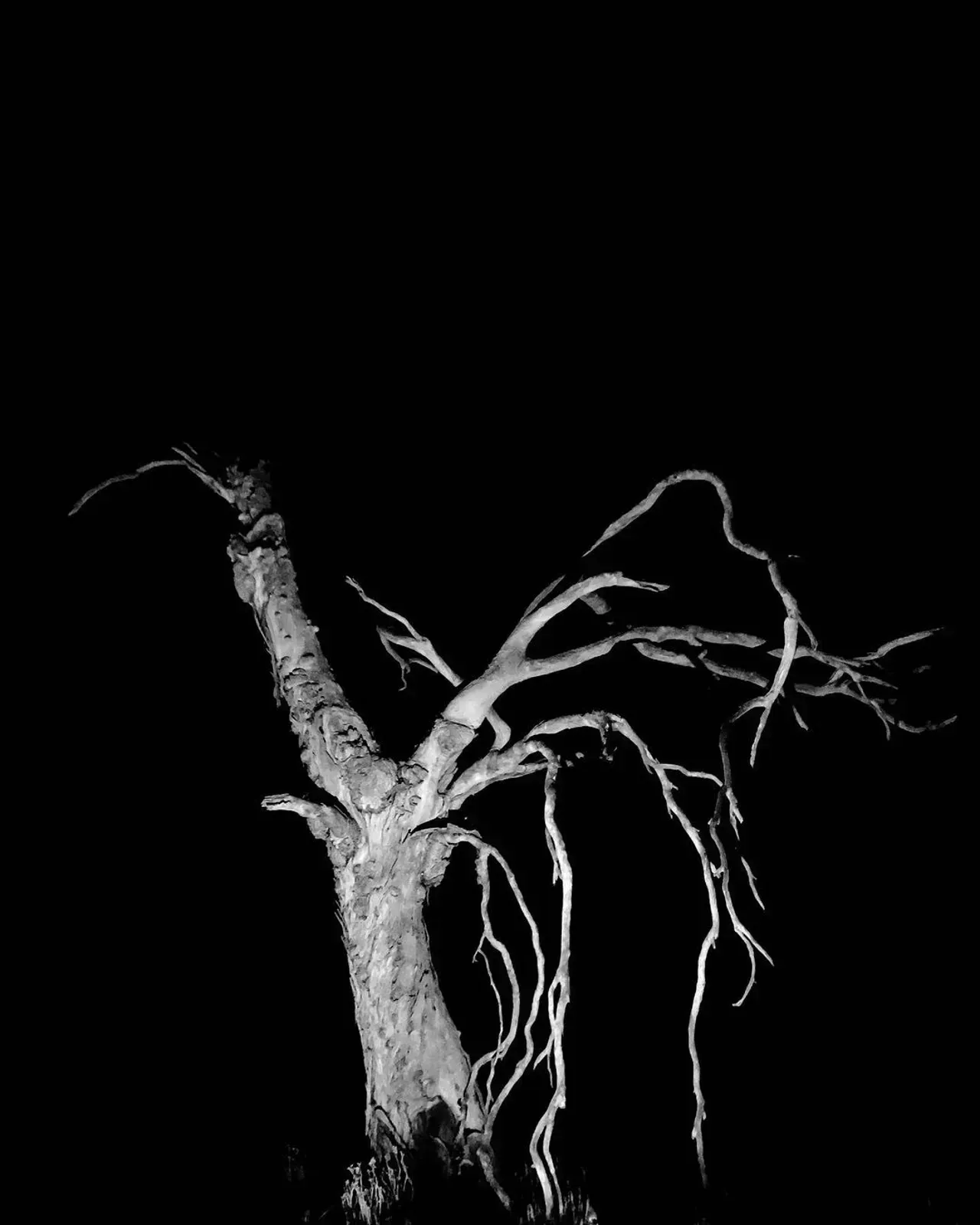 Image 52 - Dead of Night