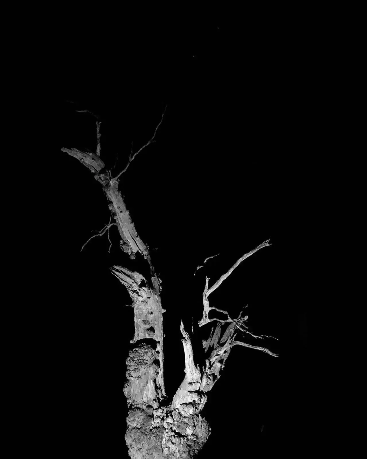 Image 53 - Dead of Night