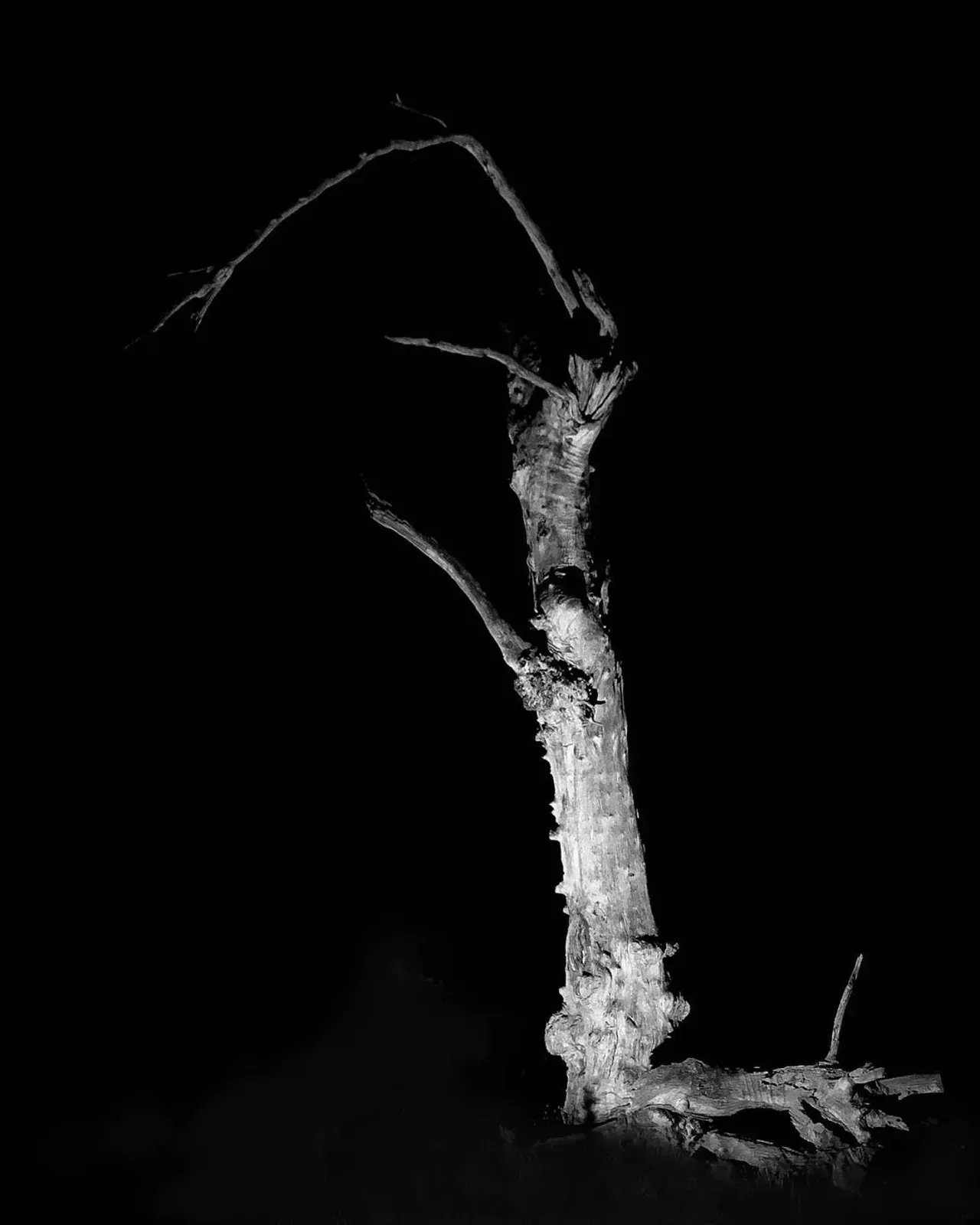 Image 55 - Dead of Night
