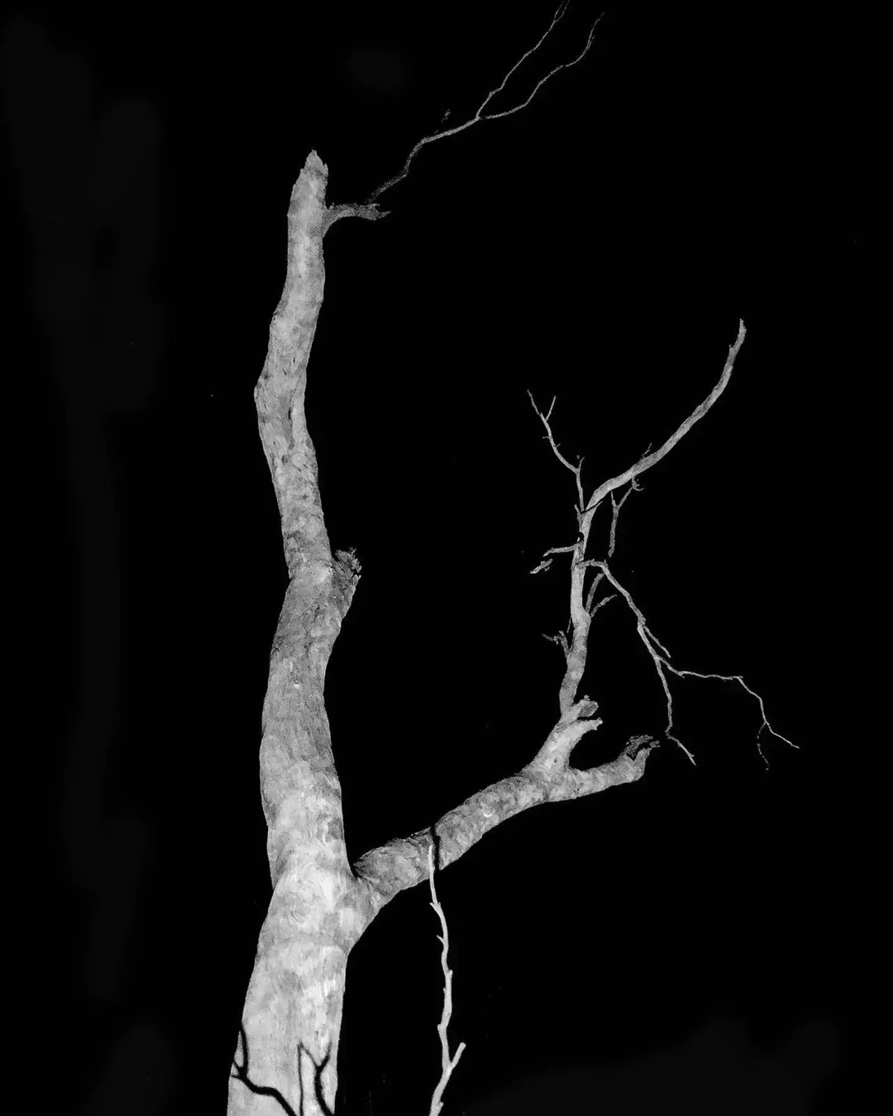 Image 58 - Dead of Night