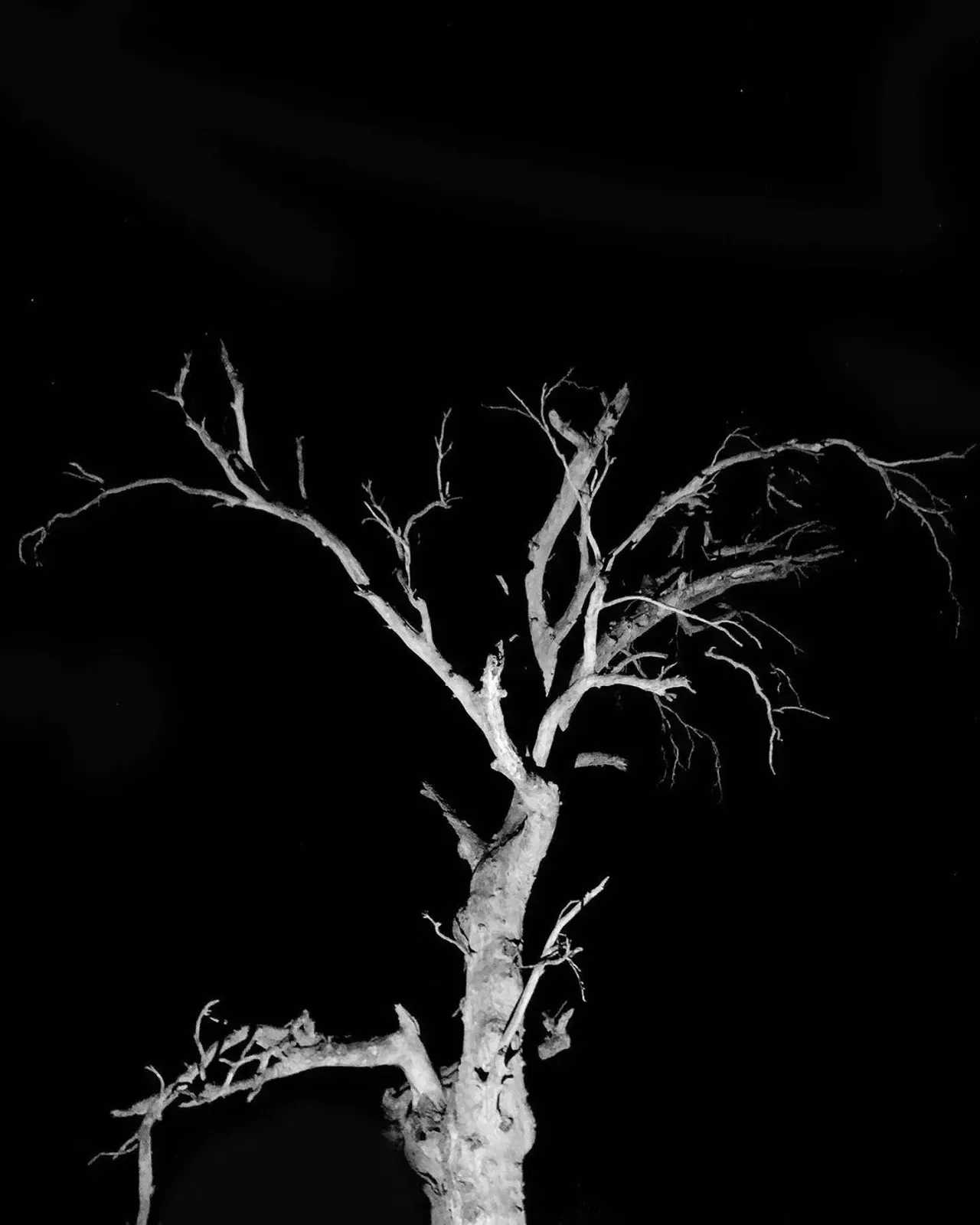 Image 59 - Dead of Night