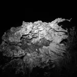 Image 61 - Dead of Night