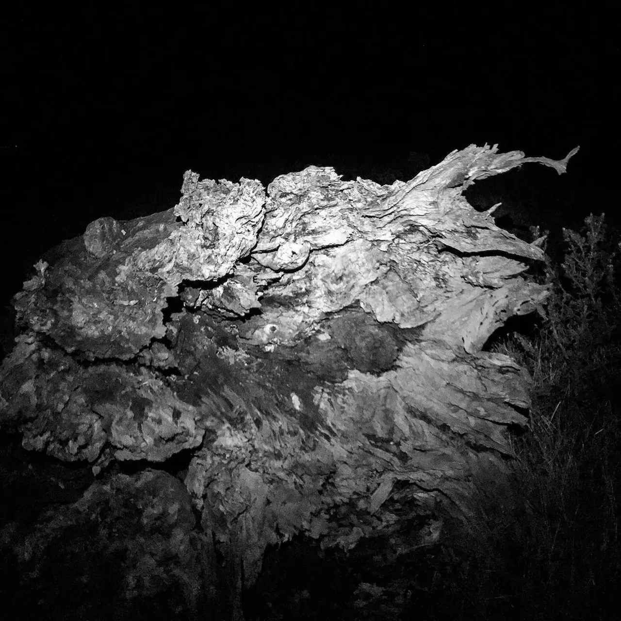 Image 61 - Dead of Night