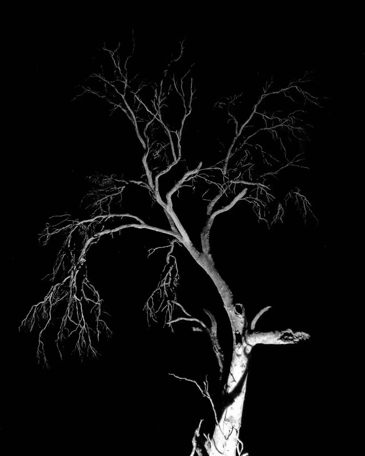 Image 62 - Dead of Night
