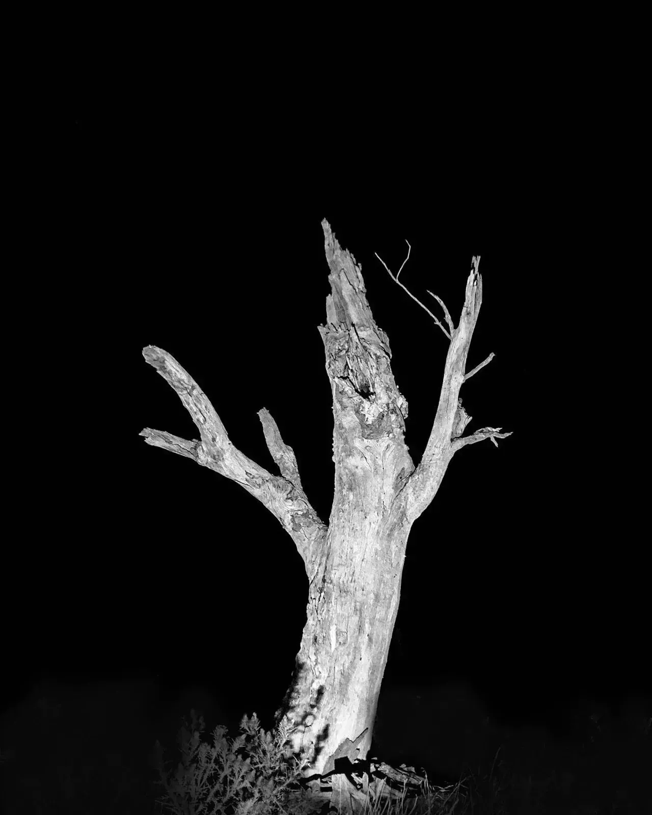 Image 8 - Dead of Night