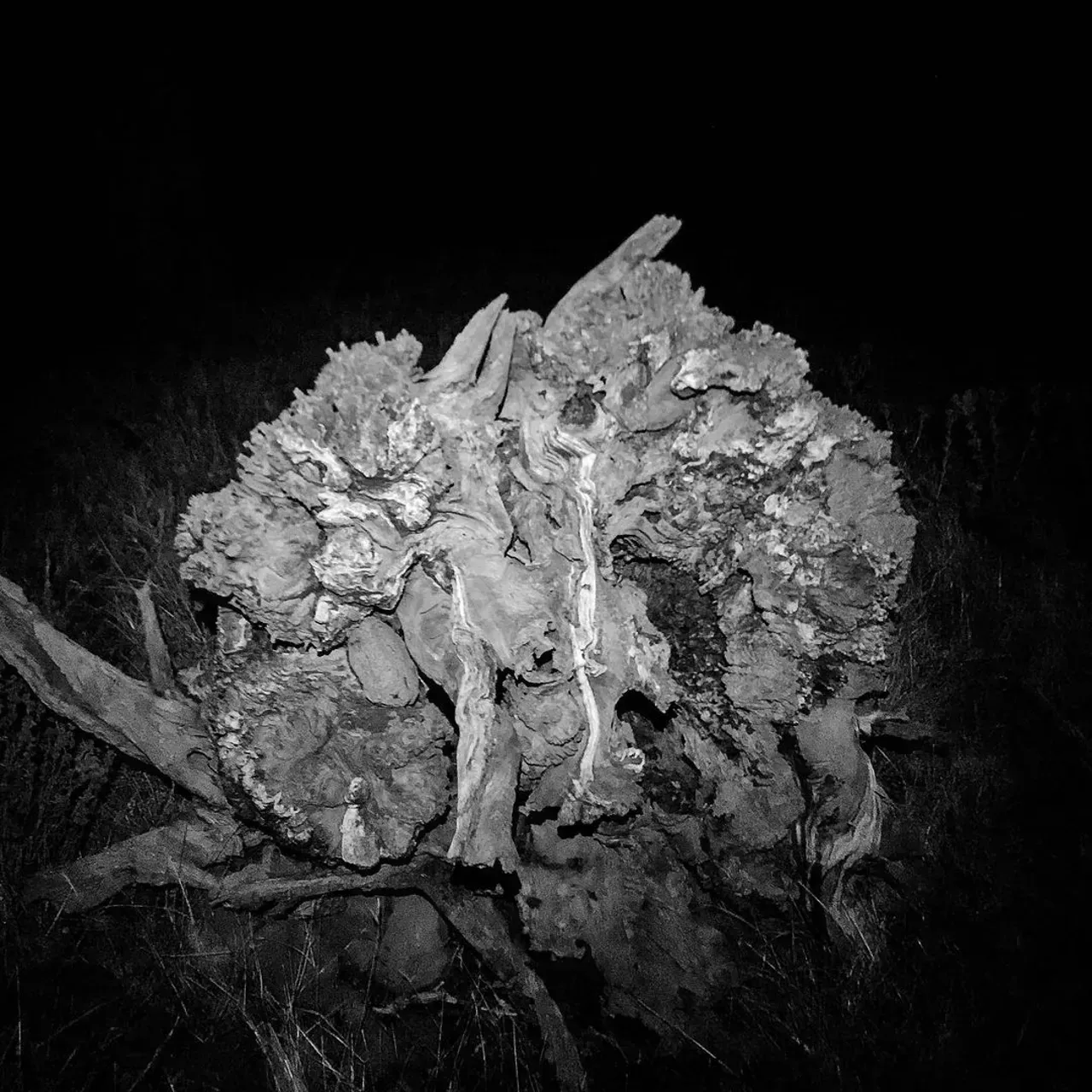 Image 9 - Dead of Night
