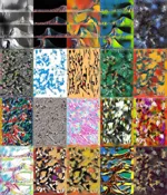 Experiments: 5