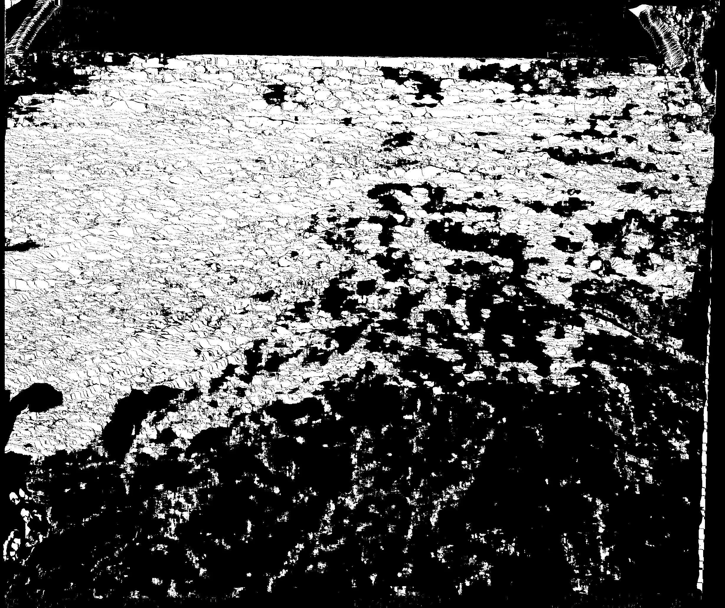 Image 38 - Graphic Accidents