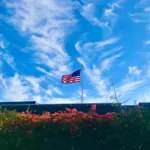 Image 19 - Merica