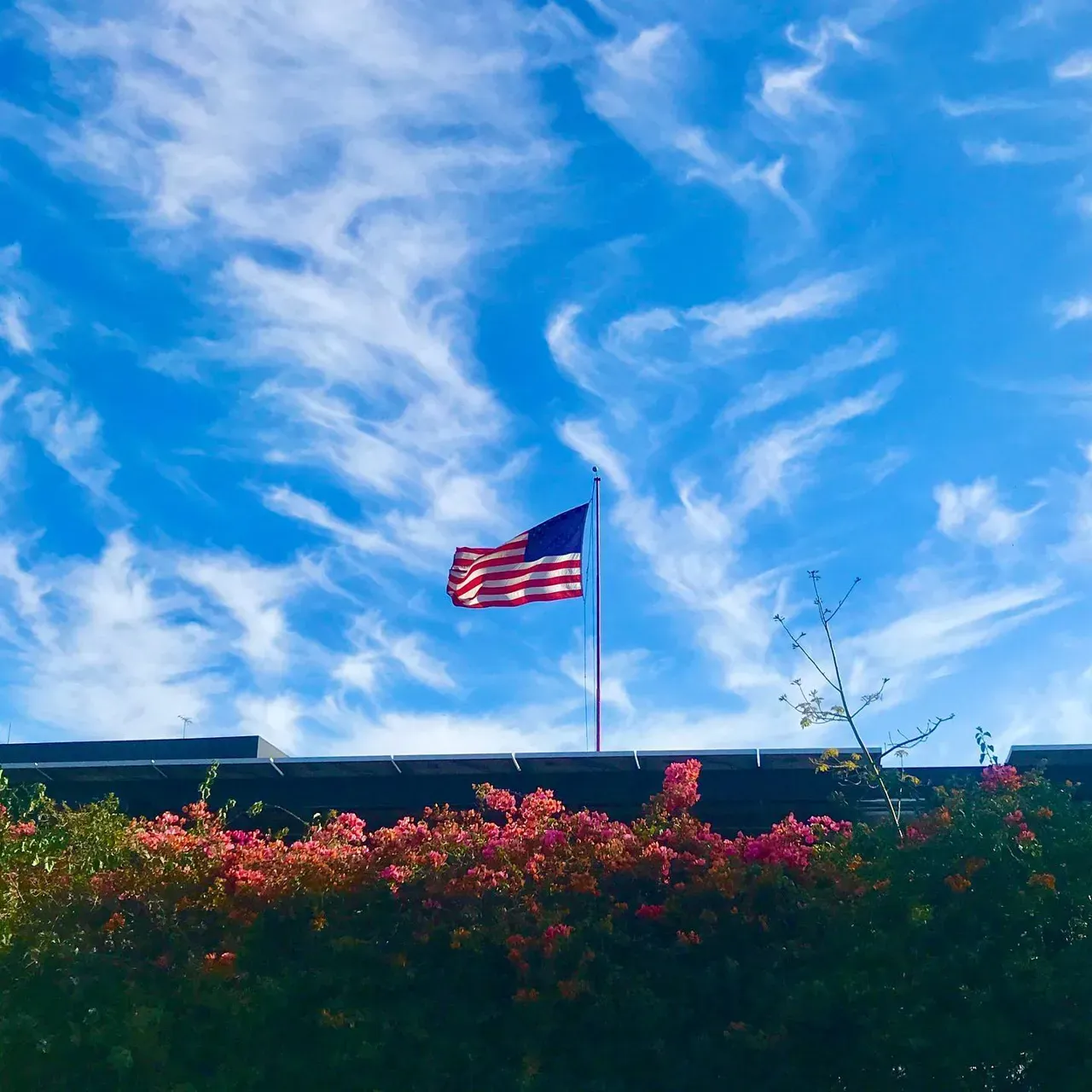 Image 19 - Merica