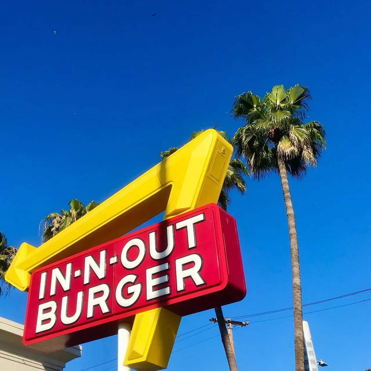 Image 2 - Merica