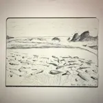 Image 3 - Not a Photo