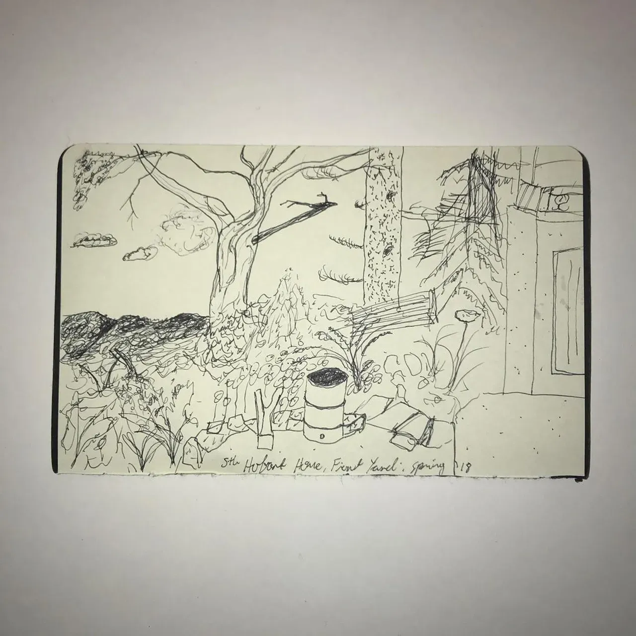 Image 4 - Not a Photo