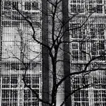 Image 2 - Patterns: Amsterdam
