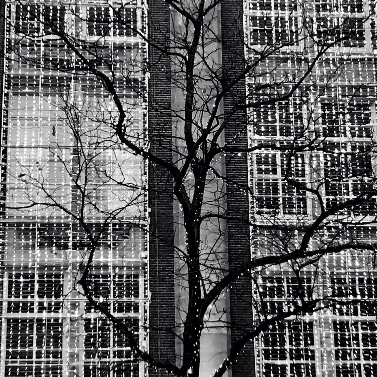 Image 2 - Patterns: Amsterdam