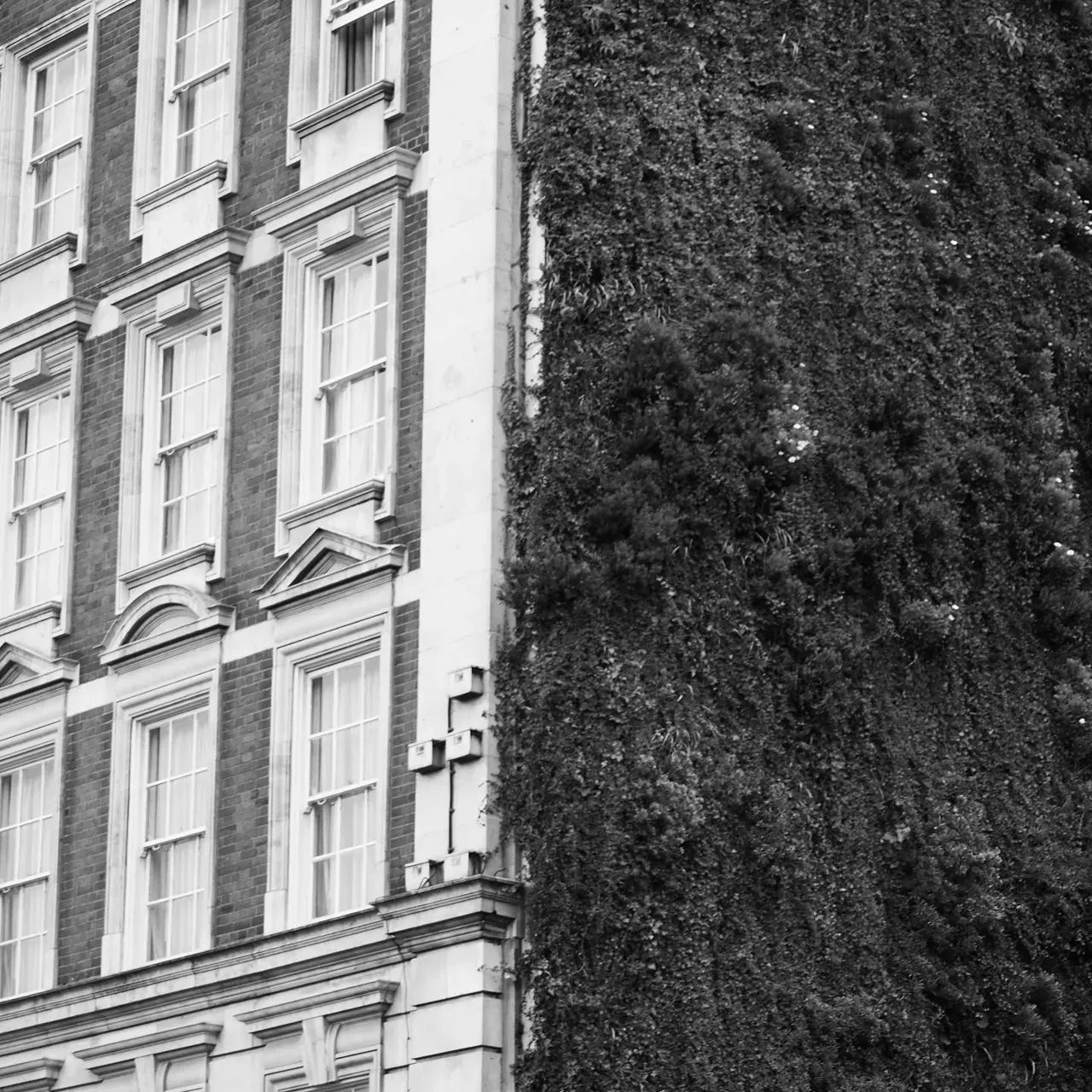 Image 20 - Patterns: London