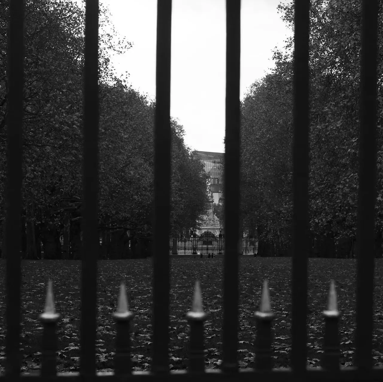 Image 25 - Patterns: London