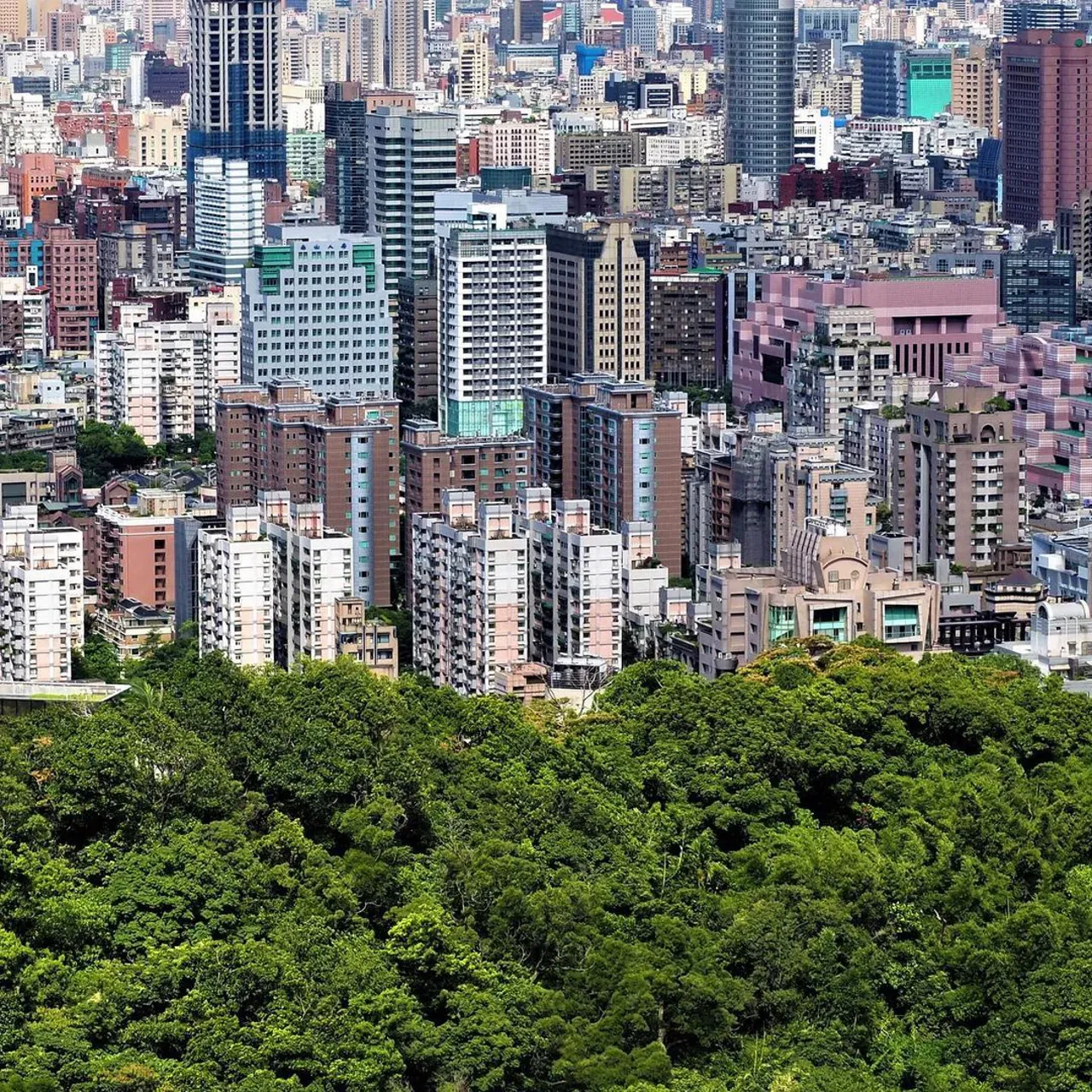 Image 12 - Patterns: Taipei
