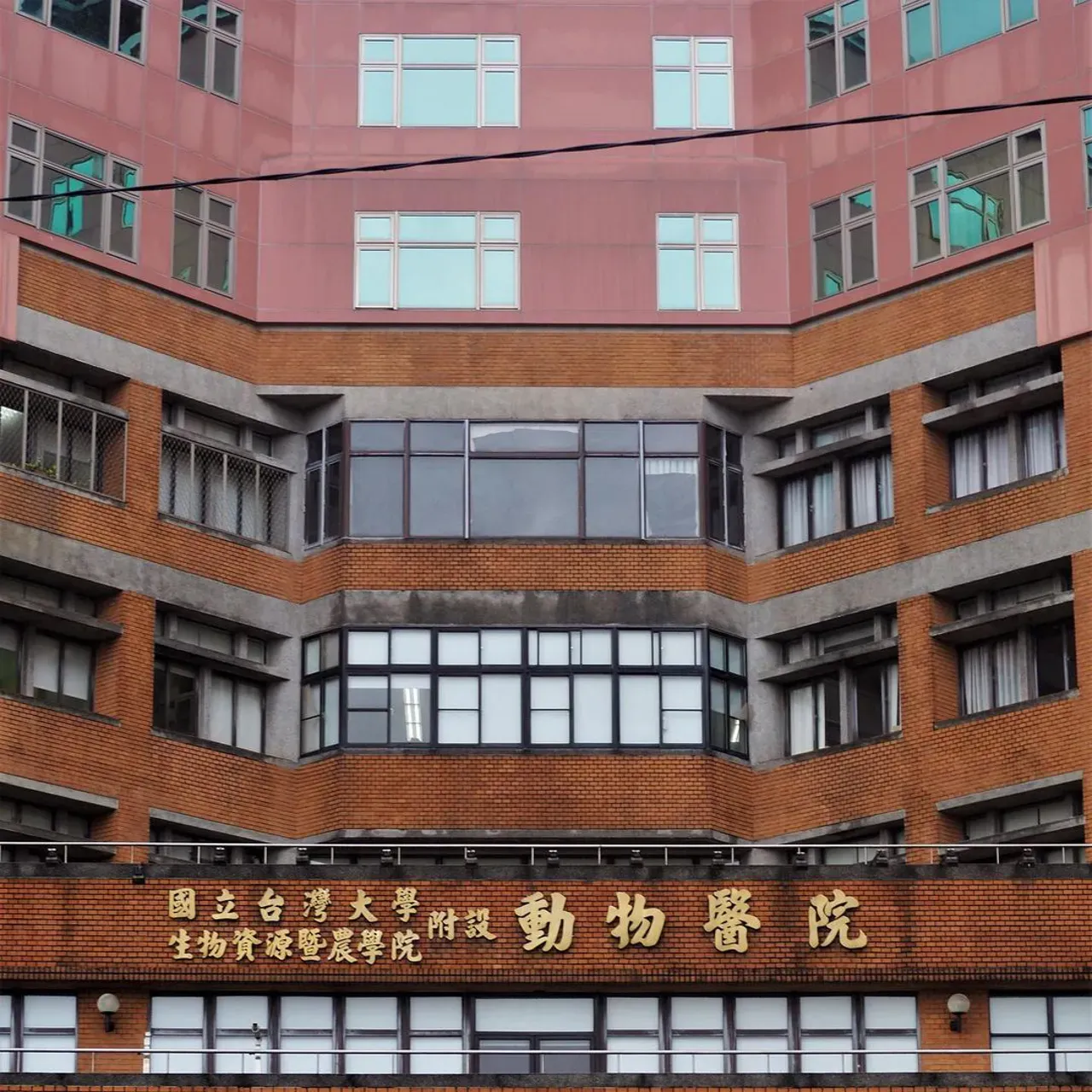 Image 27 - Patterns: Taipei