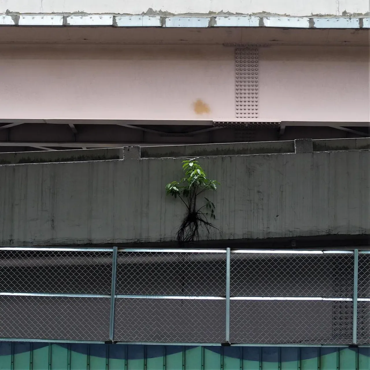 Image 33 - Patterns: Taipei