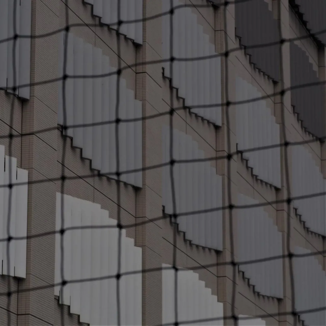 Image 42 - Patterns: Taipei