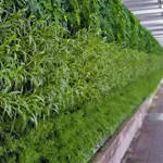 Image 6 - Patterns: Taipei