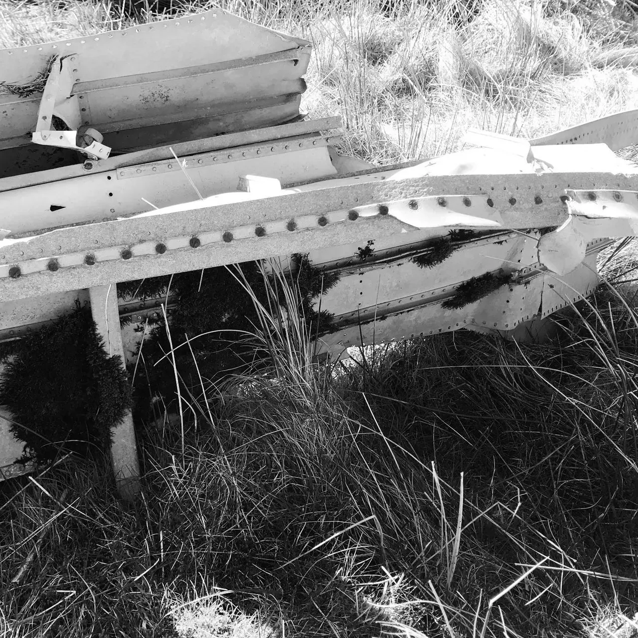 Image 13 - Plane Crash