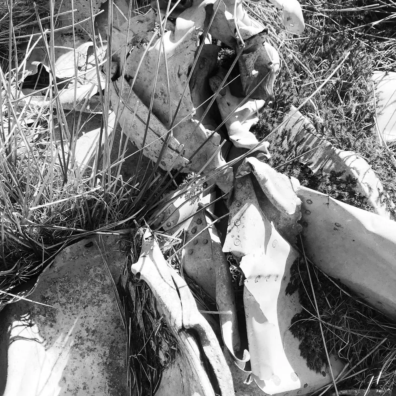 Image 17 - Plane Crash