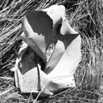 Image 18 - Plane Crash