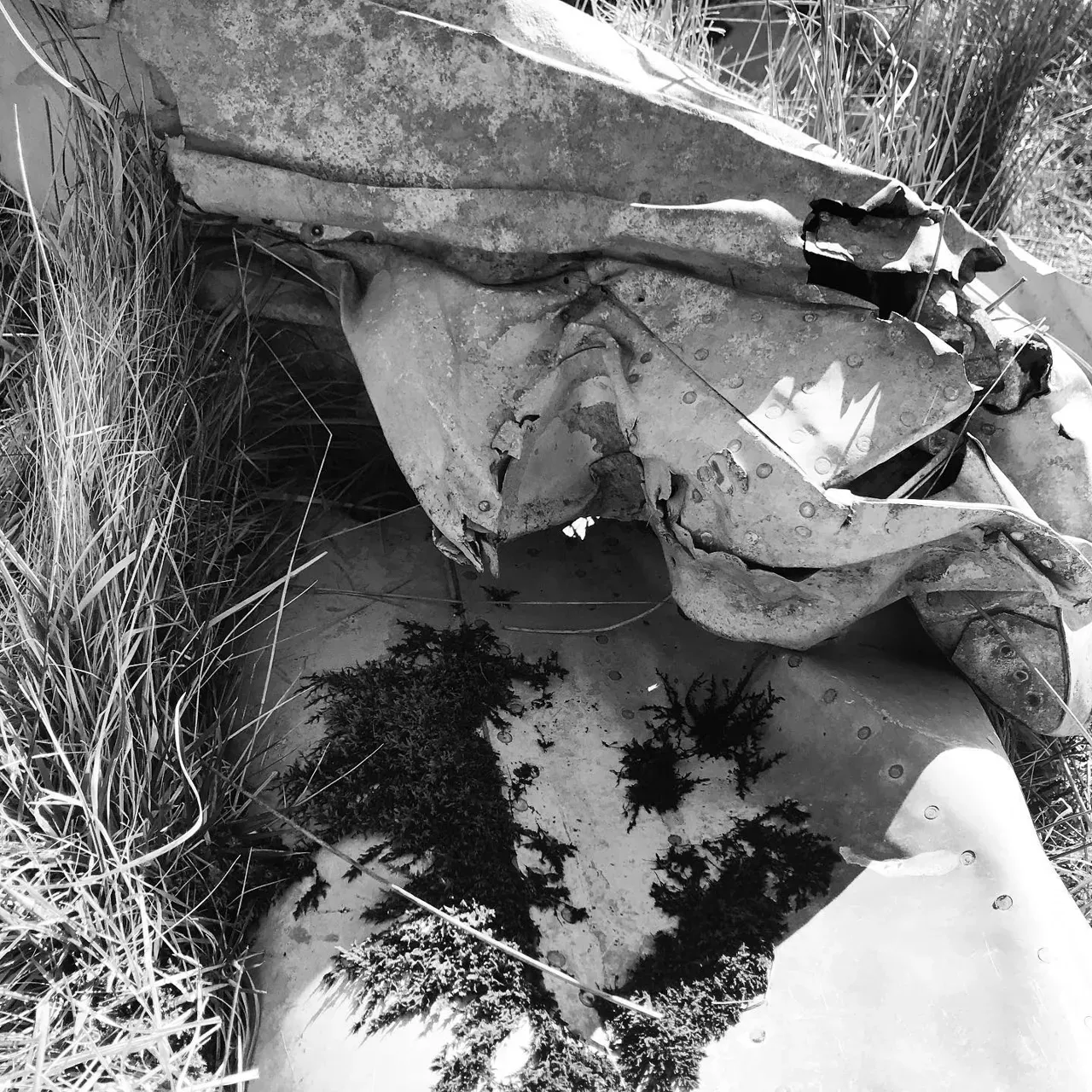 Image 5 - Plane Crash