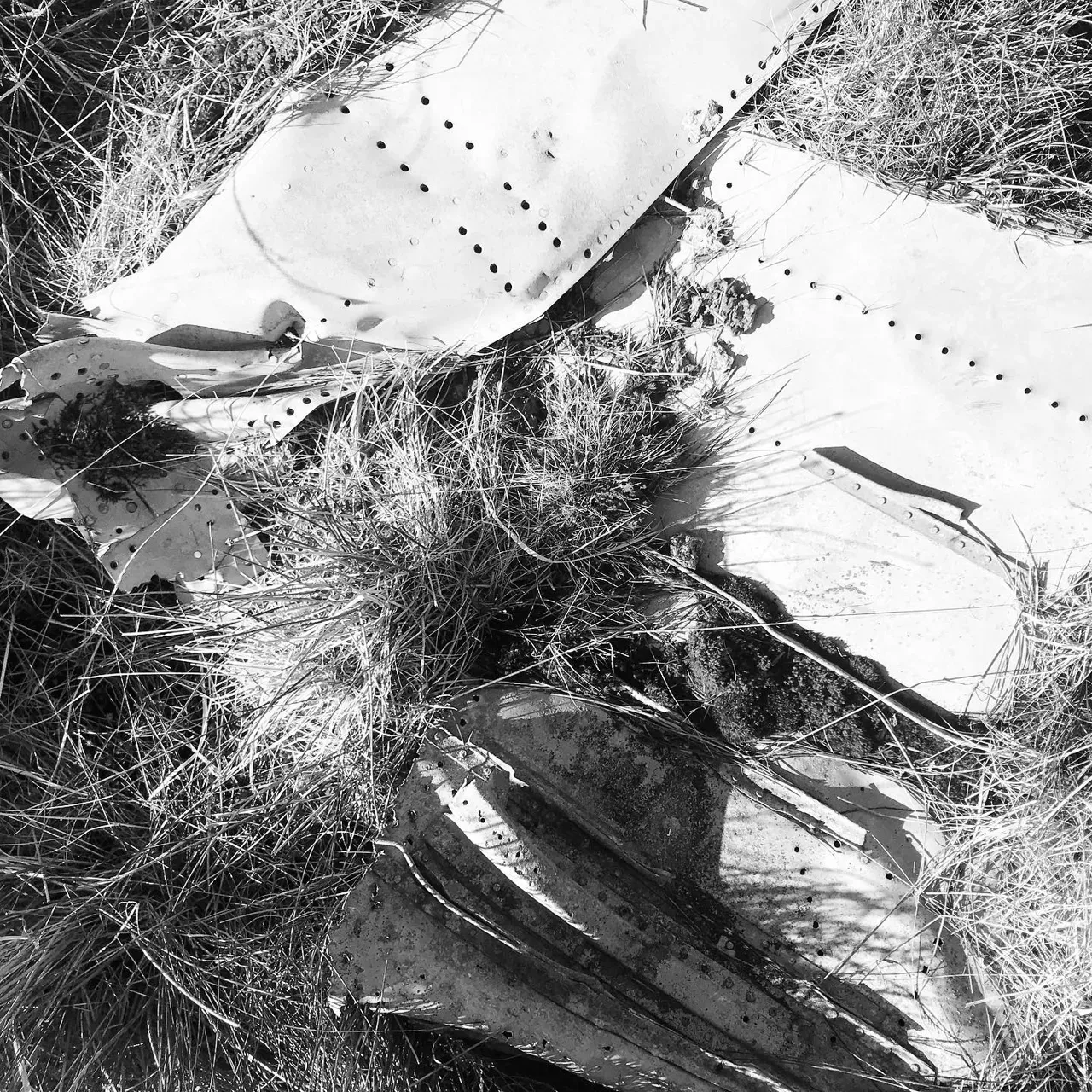 Image 7 - Plane Crash