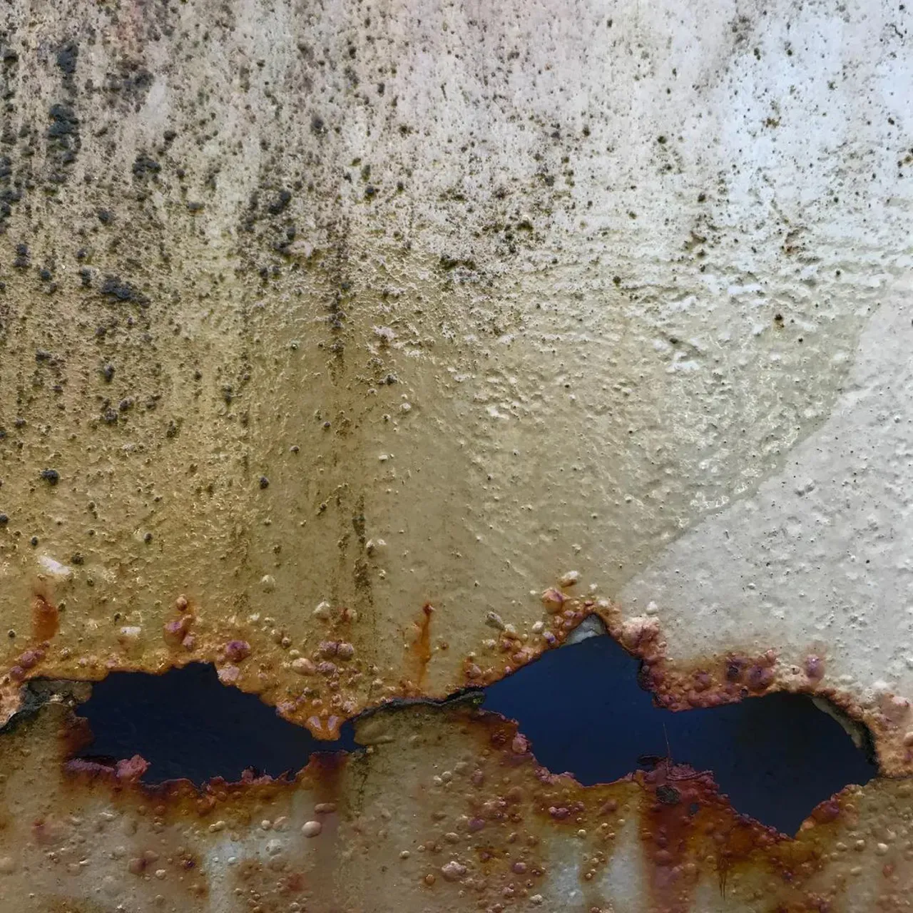 Image 0 - Rust