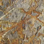 Image 1 - Rust