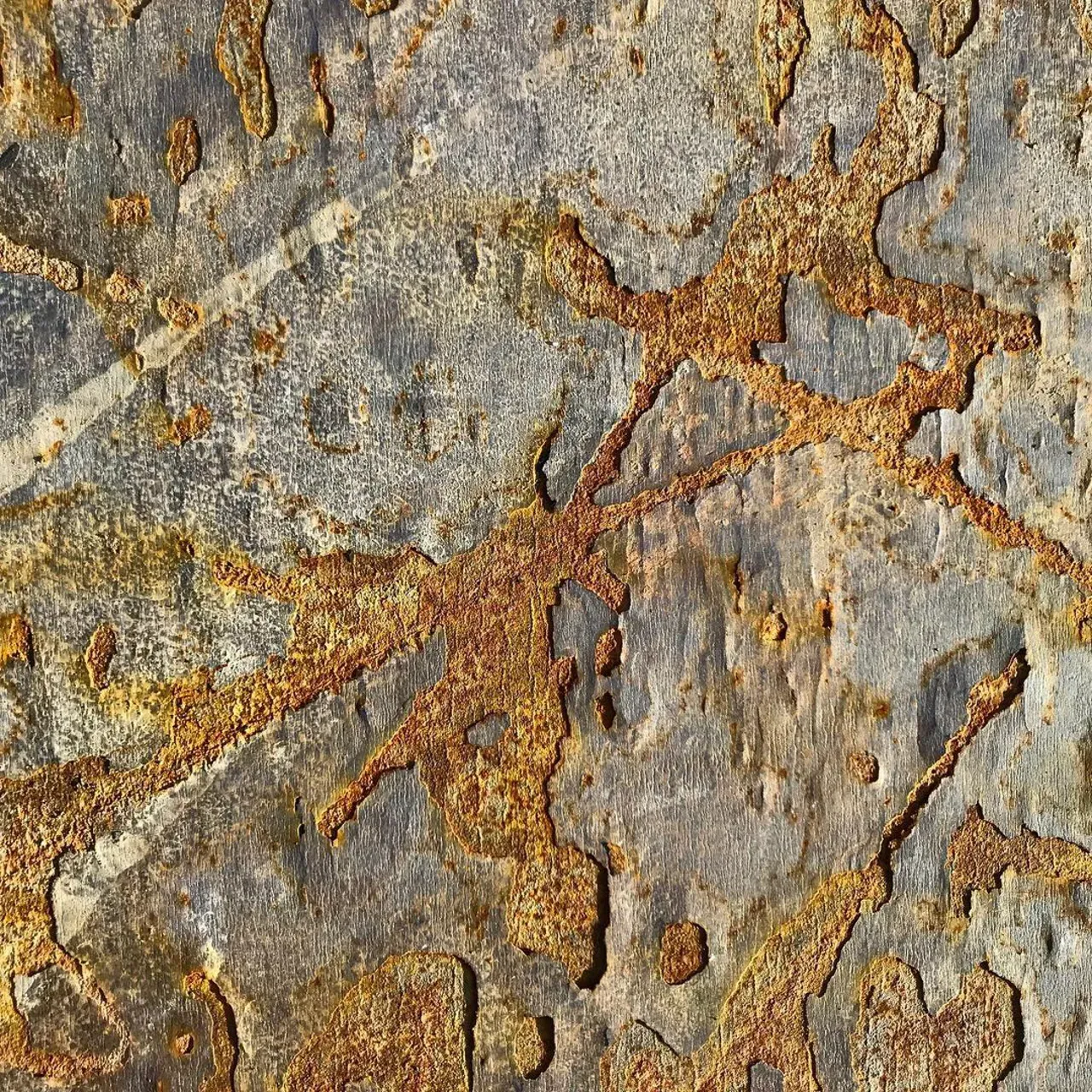 Image 1 - Rust