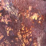 Image 15 - Rust