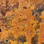 Image 16 - Rust