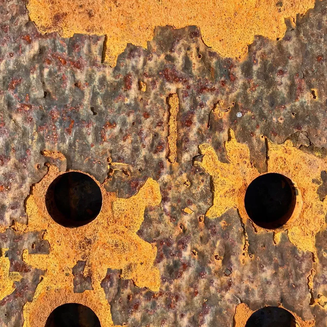 Image 17 - Rust